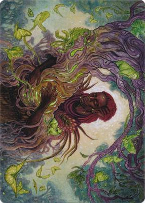 Circle of Dreams Druid (66/81) Art Card (AAFR)