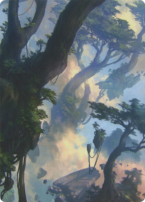 Forest (19/81) Art Card (AZNR)