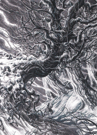 Forest (81/81) Art Card (AVOW)