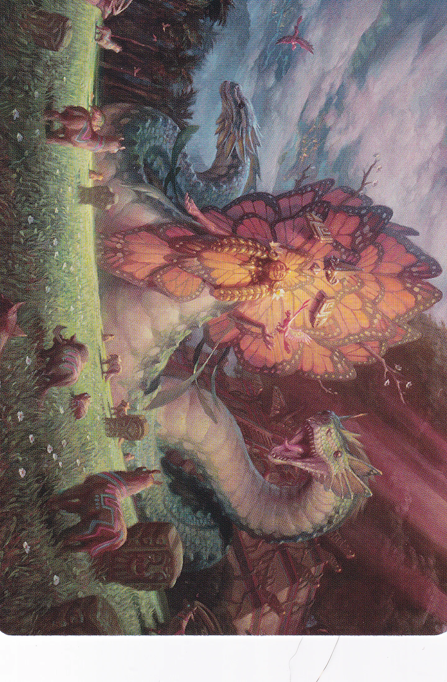 Ojer Kaslem, Deepest Growth (30/81) Art Card (ALCI)