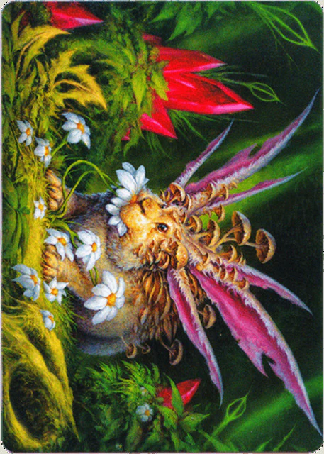 Placid Rottentail (39/81) Art Card (AMOM)