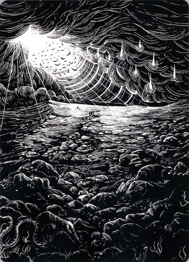 Plains (79/81) Art Card (AVOW)