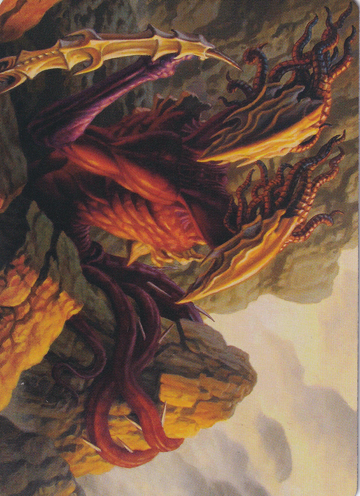 Two-Headed Sliver (79/81) Art Card (ACMM)