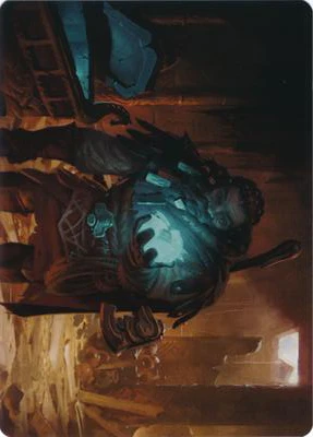 Vault Robber (40/81) Art Card (AKHM)